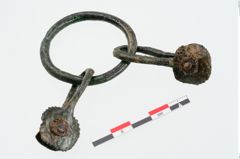 Foto von Bronzegürtelring (NHMW-PRAE-025102)